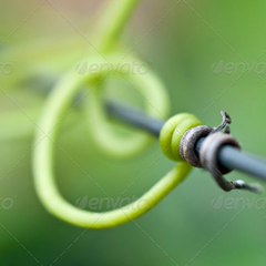 不黑号的网站攻击工具手机版