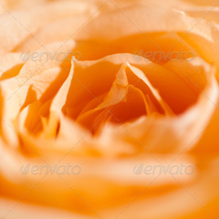 手机版ddos攻击器