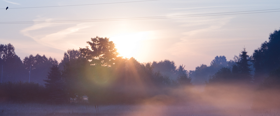 兑换网站稳定的ddos压力在线测试平台