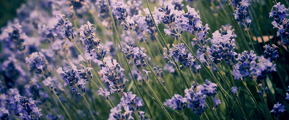 批发价格实惠的ddos压力在线测试平台